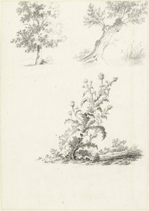 Dwa studia drzewa i ostu autorstwa J.B. Joss (attributed to)