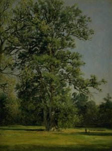 Dąb. Widok na ogród w Wörlitz koło Dessau autorstwa Johan Christian Dahl