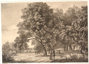 Widok drogi w lesie w pobliżu Sorø, Zelandia autorstwa Johan Christian Dahl