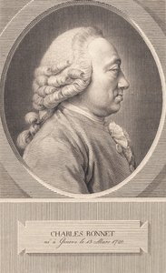 Karol Bonnet autorstwa J.F. Clemens