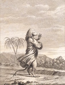 Małpi kot martynyjski autorstwa J.F. Clemens