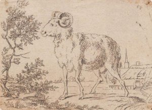 baran autorstwa J.F. Clemens