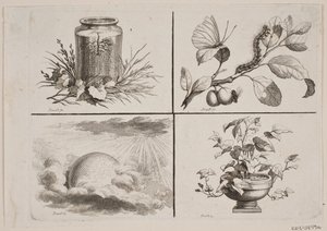 Winiety do prac Bonneta autorstwa J.F. Clemens