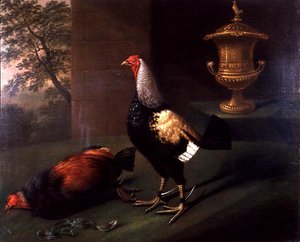Portret „Zjawiska”, srebrnego kogucia noszącego ostrogi i stojącego nad swoją ofiarą autorstwa J.F. Wilson