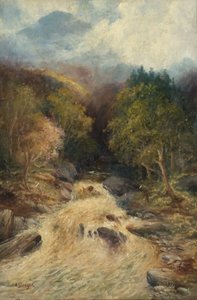 Las górski autorstwa J.H. Stanger