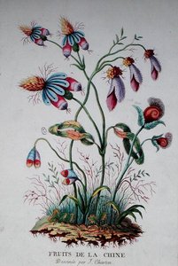 Owoce Chin autorstwa J. (after) Charton
