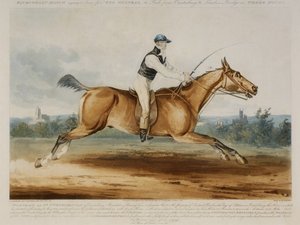 Portret pana Williama Hutchinsona na „Stareing Tom”, grawerowany przez H. Meyera autorstwa J. (after) Pardon