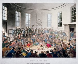 „Królewska jama kogutów”, 1808 r.