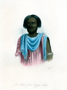 Melik Arabów z Shegyia, ok. 1840 r. autorstwa J. Bull