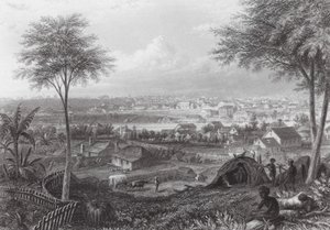 Australia: Brisbane (grawerunek) autorstwa J. C. Armytage