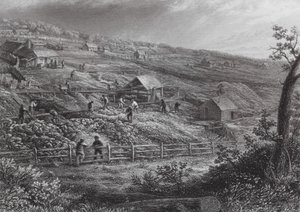 Australia: Concordia Gold Mines (grawerunek) autorstwa J. C. Armytage