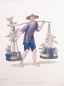 Porter z drzewami owocowymi i kwiatami, ok. 1800-01 autorstwa J Dadley
