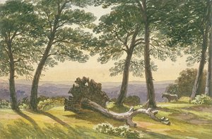 Hampstead Heath, Londyn, ok. 1830 r. autorstwa J Powell