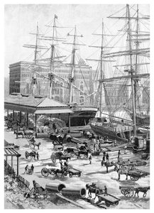 Wysyłka, Circular Quay, Sydney, Nowa Południowa Walia, Australia, 1886.