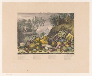 Jawajskie owoce Les fruits de Java (tytuł na obiekcie) autorstwa J. Schnell
