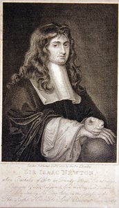 Sir Isaac Newton autorstwa J. T. Wedgewood