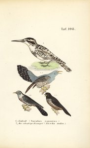  autorstwa J. W. Tenhaeff