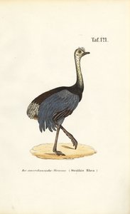  autorstwa J. W. Tenhaeff