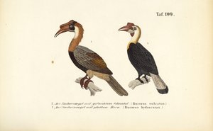 autorstwa J. W. Tenhaeff