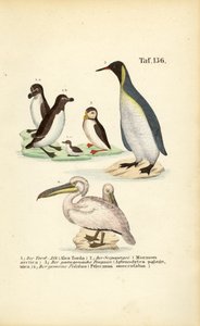  autorstwa J. W. Tenhaeff