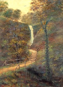 Shanklin Chine, Wyspa Wight, 1911 autorstwa J. Wilby