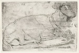 leżąca koza autorstwa Jabes Heenck (signed by artist)