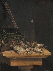 Martwe ptaki autorstwa Jacob Biltius