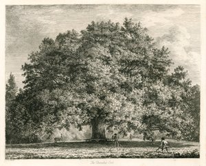 Dąb Chandos, Michendon House, Southgate, Londyn autorstwa Jacob George Strutt