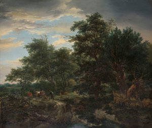 Scena leśna autorstwa Jacob van Ruisdael