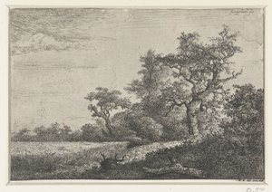 Pole kukurydzy autorstwa Jacob van Ruisdael