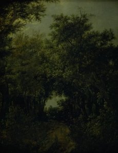 Droga w lesie dębowym autorstwa Jacob van Ruisdael