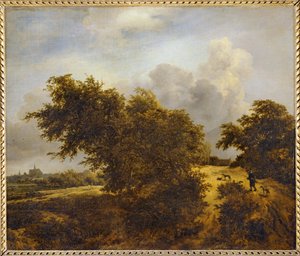 Ścieżka na wydmach Haarlem lub Le Buisson ...