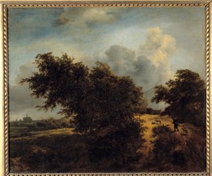 Krzak Obraz Jacoba Isaakszoon van Ruisdael (Ruysdael) (1628-1682) XVII w. Niedz. 0,68 x 0,82 m² autorstwa Jacob van Ruisdael