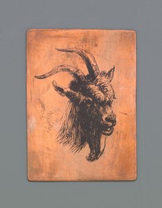 Głowa złotówki autorstwa Jacob Maris