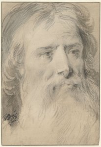 Głowa mężczyzny z dużą brodą autorstwa Jacob de Wit