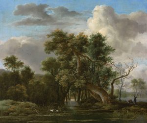 Basen leśny autorstwa Jacob van Ruisdael
