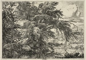 Domek na szczycie wzgórza autorstwa Jacob van Ruisdael