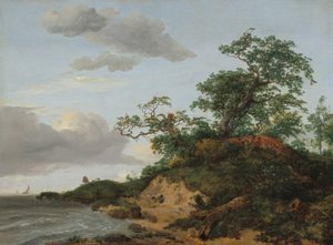 Wydmy nad morzem, 1648. autorstwa Jacob van Ruisdael