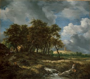 Krajobraz w pobliżu Muiderberg, początek lat 50. XVI wieku autorstwa Jacob van Ruisdael