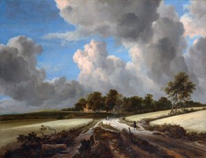 Pola pszenicy autorstwa Jacob van Ruisdael