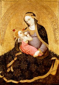 Madonno Pokory,
