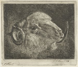 Głowa barana z rogami odwrócona autorstwa Jacobus Cornelis Gaal (signed by artist)