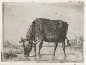 pijąca krowa autorstwa Jacobus Cornelis Gaal