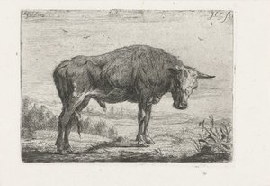 stojący byk autorstwa Jacobus Cornelis Gaal