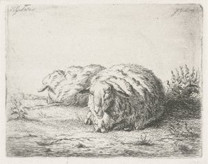 Dwie leżące owce autorstwa Jacobus Cornelis Gaal