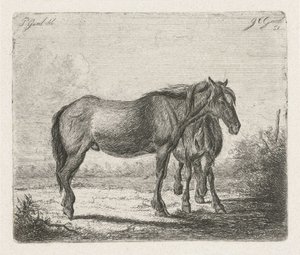 Dwa konie autorstwa Jacobus Cornelis Gaal