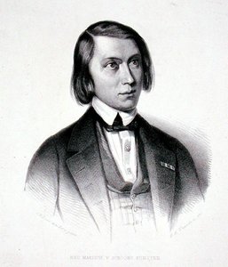 Portret Józefa Hermanusa Verhulsta (1816-91) (rycina) autorstwa Jacobus Everardus Josephus van den (after) Berg