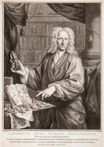 autorstwa Jacobus Houbraken