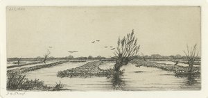 torfowisko