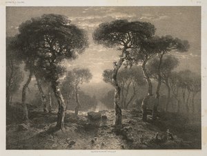 Prace A. Calame, nr 13: Las Sierre w Valais autorstwa Jacomme and Cie. R. de Lancry, 12, Paris